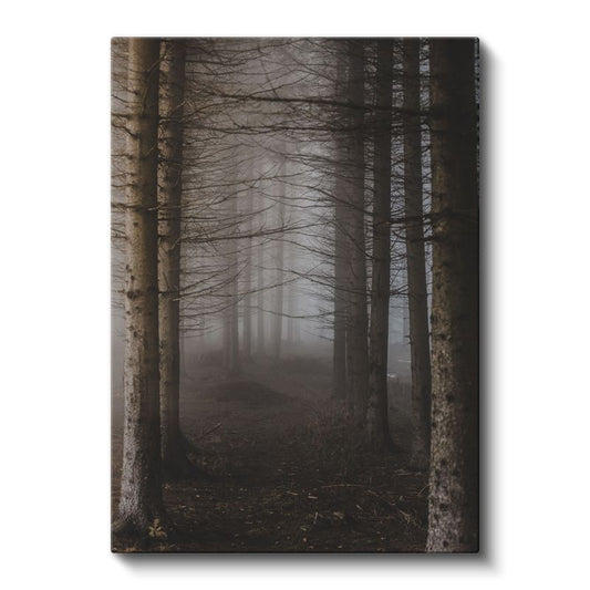 Sisli Orman - Ağaçlar Arasında Kaybolan Gizemli Patika Kanvas Tablo