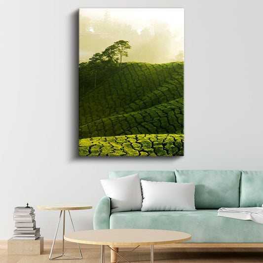 Yeşil Tepeler - Sisli Sabahta Çay Tarlaları Kanvas Tablo