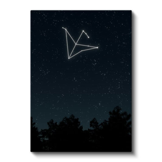Yıldız Takımı - Gece Gökyüzünde Parlayan Kuş Silueti Kanvas Tablo