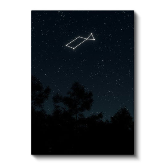 Yıldız Takımı - Gecenin Derinliklerindeki Işıltılı Rehber Kanvas Tablo
