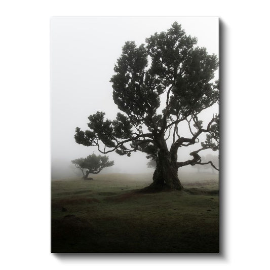 Sis İçindeki Ağaç - Mistik Doğa Silueti Kanvas Tablo