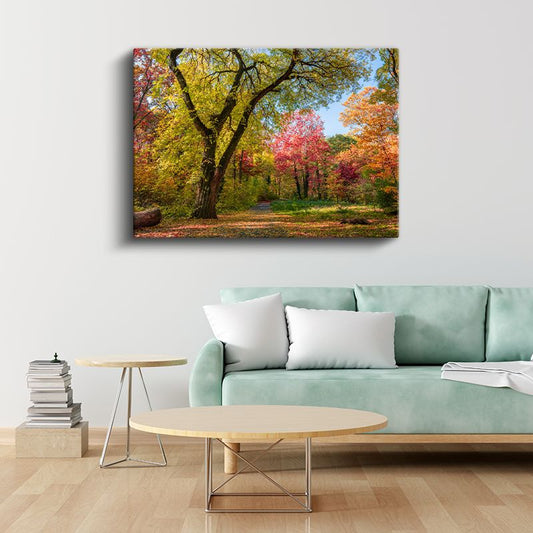 Renkli Orman - Sonbahar Ağaçları ve Patika Kanvas Tablo