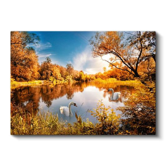 Sonbahar Kuğuları - Altın Yapraklı Ağaçlar Arasında Huzurlu Göl Kanvas Tablo
