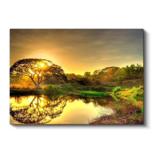 Altın Gün Batımı - Göl Kenarında Yansımalı Ağaç Kanvas Tablo