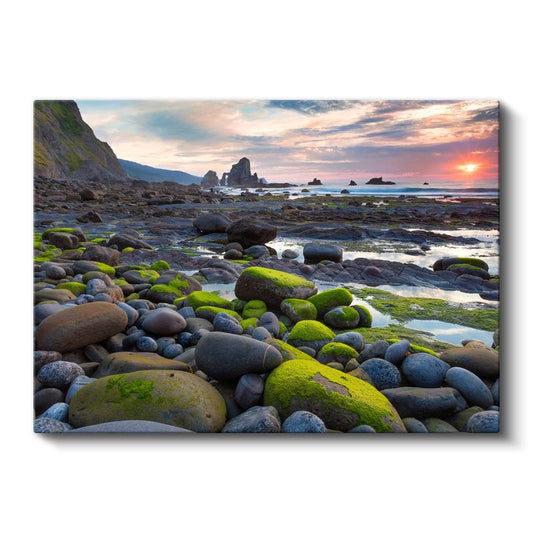 Taşlı Sahil - Gün Batımında Yosunlu Kayalar Kanvas Tablo