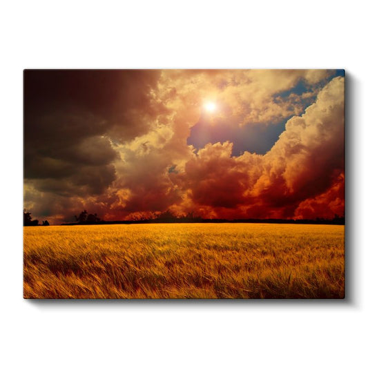Altın Buğday Tarlası - Dramatik Gün Batımı Kanvas Tablo