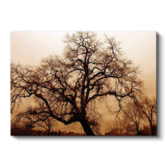 Yaşlı Ağaç - Zamanın İzlerini Taşıyan Güçlü Siluet Kanvas Tablo