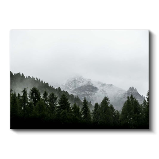 Sisli Orman - Karlı Dağ Zirvesi ve Çam Ağaçları Kanvas Tablo