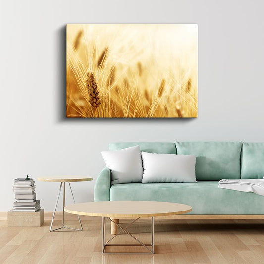 Altın Başak - Bereket Sembolü Kanvas Tablo