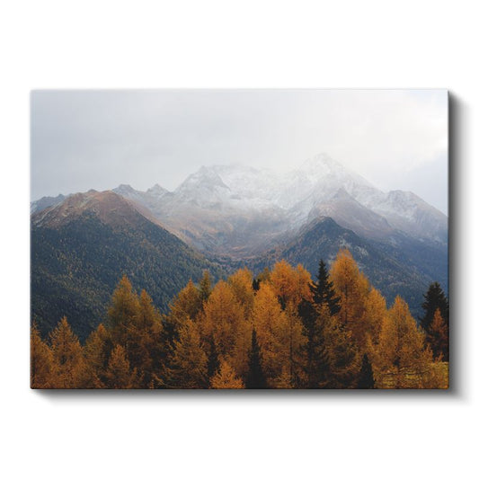 Sonbahar Zirvesi - Karlı Dağlar ve Turuncu Çamlar Kanvas Tablo