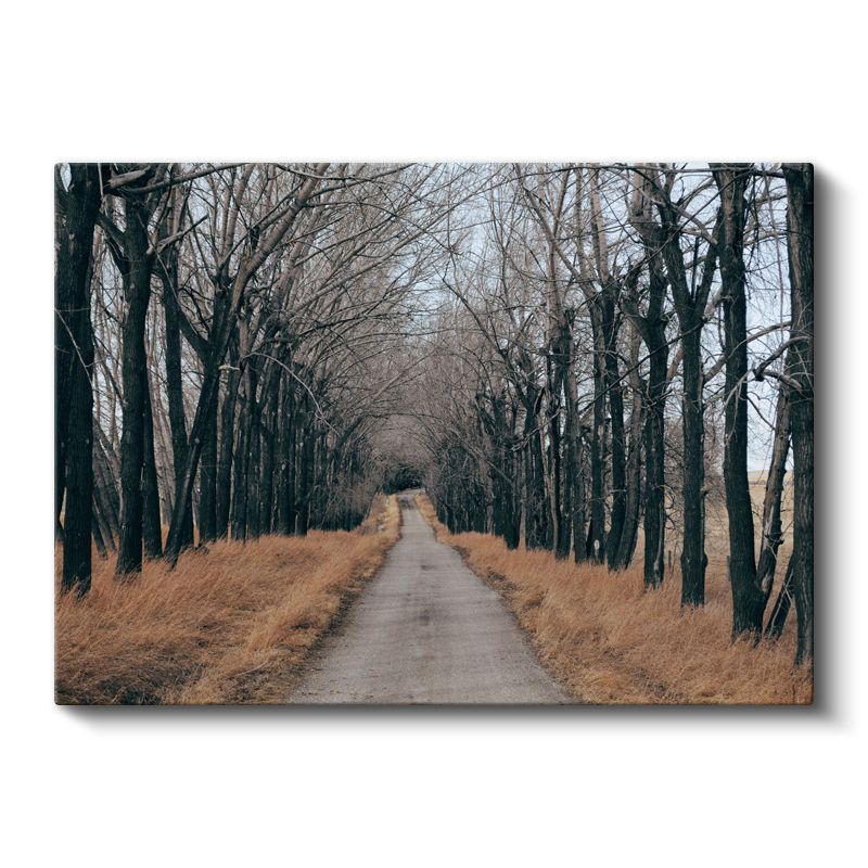 Ağaçlı Patika - Sonbaharın Huzur Veren Yolculuğu Kanvas Tablo
