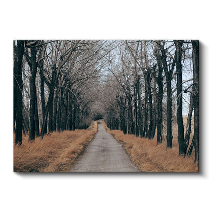 Ağaçlı Patika - Sonbaharın Huzur Veren Yolculuğu Kanvas Tablo
