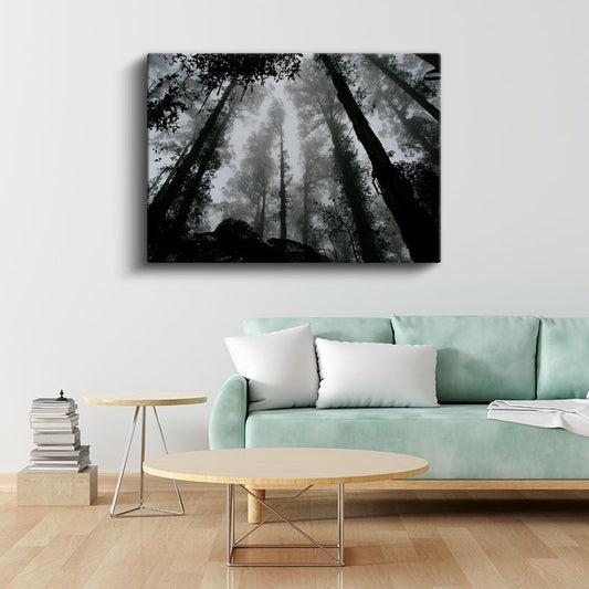 Sisli Orman - Yukarı Uzanan Ağaçların Gizemli Dünyası Kanvas Tablo