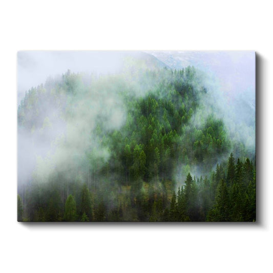 Sisli Dağlar - Çam Ormanı Manzarası Kanvas Tablo