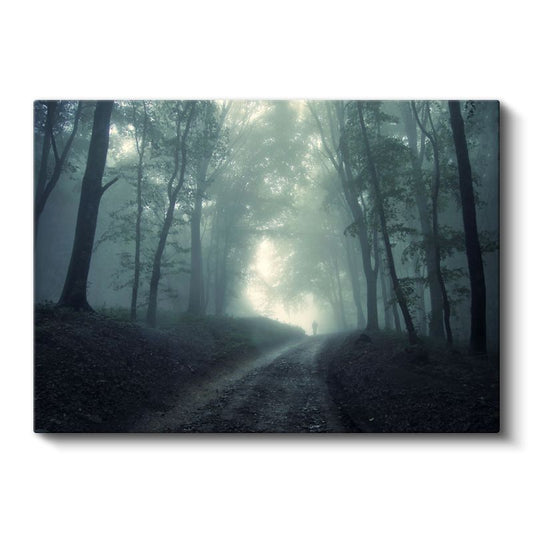Sisli Orman - Gizemli Patikada Yalnız Yolculuk Kanvas Tablo