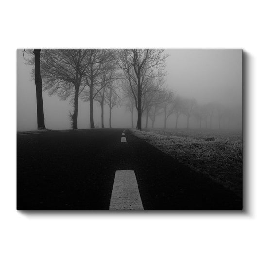 Sisli Yol - Siyah Beyaz Minimalist Doğa Perspektifi Kanvas Tablo
