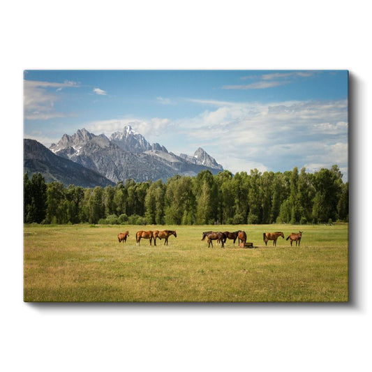 Vahşi Atlar - Dağ Eteklerinde Özgürlük Kanvas Tablo