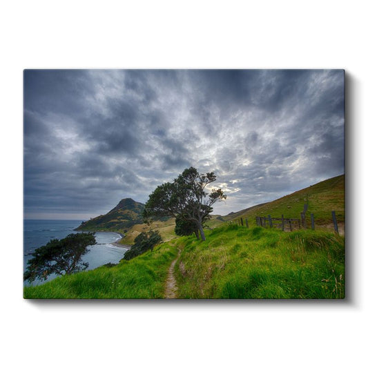 Yeşil Patika - Okyanus Kıyısında Doğa Yürüyüşü Kanvas Tablo
