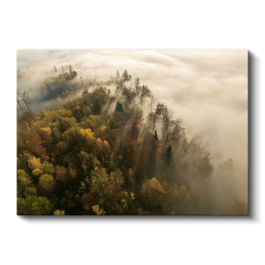 Sonbahar Ormanı - Sis Örtüsü Altında Altın Yapraklar Kanvas Tablo