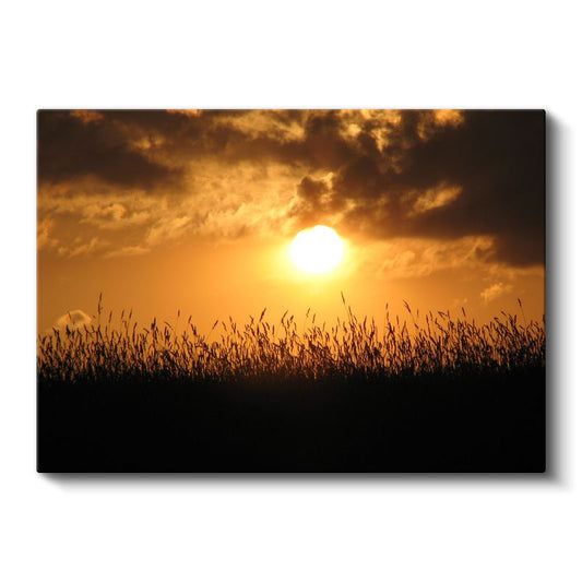 Altın Gün Batımı - Doğanın Büyüleyici Silüeti Kanvas Tablo
