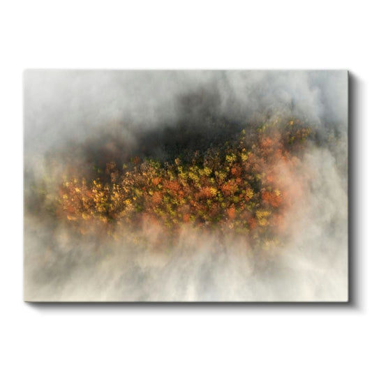 Sonbahar Ormanı - Sis Arasında Parlayan Renkler Kanvas Tablo