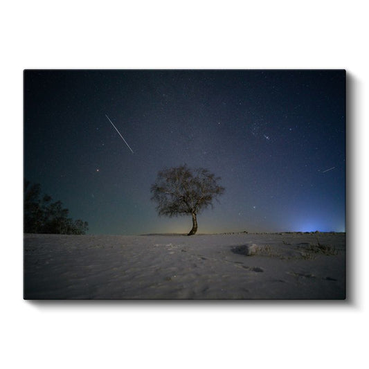 Yalnız Ağaç - Yıldızlı Gökyüzü Altında Kış Manzarası Kanvas Tablo