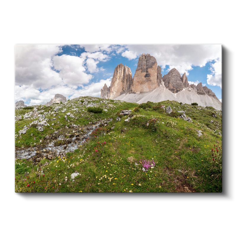 Alp Zirvesi - Çiçekli Çayırlar ve Görkemli Dağlar Kanvas Tablo