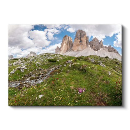 Alp Zirvesi - Çiçekli Çayırlar ve Görkemli Dağlar Kanvas Tablo