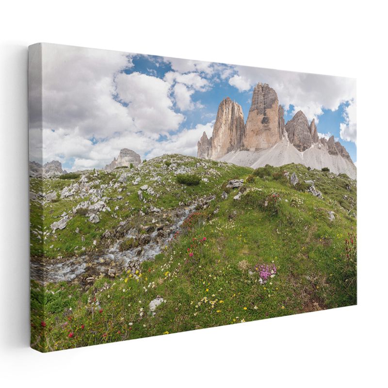 Alp Zirvesi - Çiçekli Çayırlar ve Görkemli Dağlar Kanvas Tablo