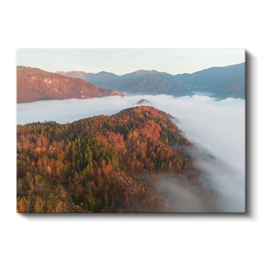 Sonbahar Ormanı - Sis Örtüsü Altında Kızıl Ağaçlar Kanvas Tablo