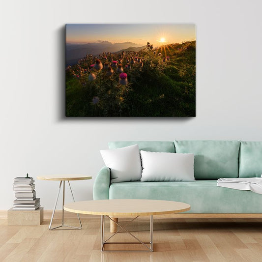 Dağ Çiçekleri - Gün Batımında Mor Dikenler Kanvas Tablo