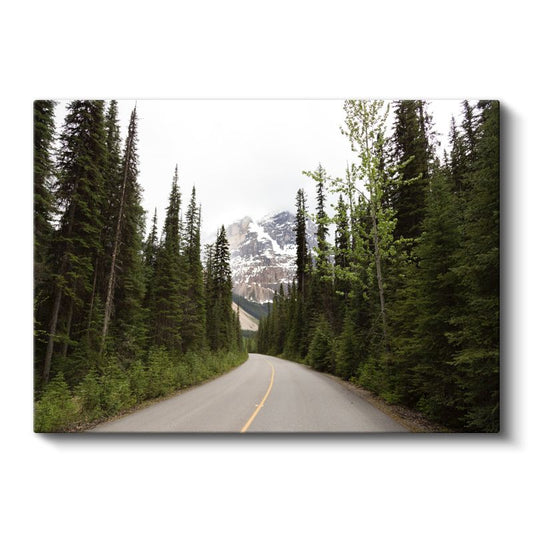 Orman Yolu - Çam Ağaçları Arasından Dağa Uzanan Patika Kanvas Tablo