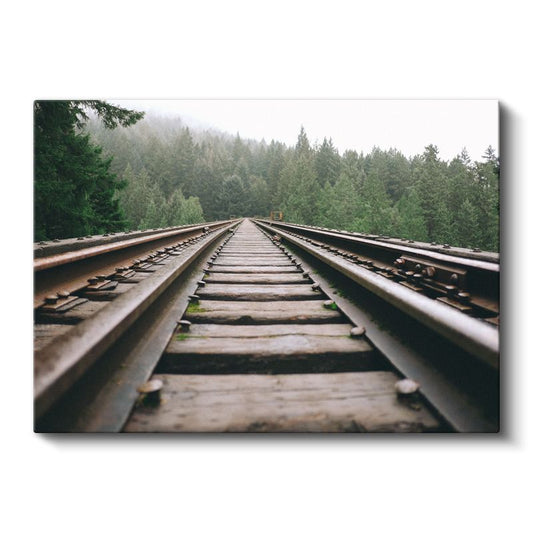 Orman Demiryolu - Sisli Çam Ağaçları Arasında Uzanan Hat Kanvas Tablo