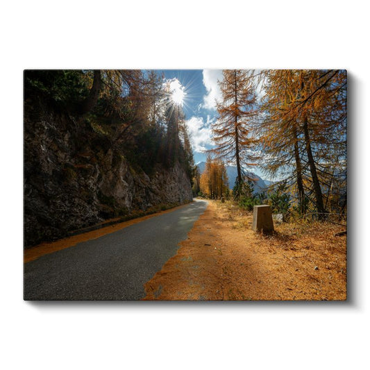 Sonbahar Dağ Yolu - Güneş Işınları Altında Altın Renkli Orman Kanvas Tablo
