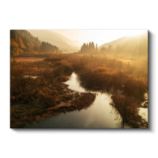 Sonbahar Vadisi - Altın Sarısı Işıkta Parlayan Dere Manzarası Kanvas Tablo