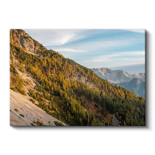Dağ Yamacı - Sonbahar Renklerinde Çam Ormanları Manzarası Kanvas Tablo