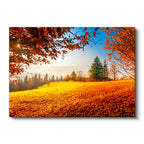 Yatay Kanvas Tablo Güneş Işığı ve Sonbahar Tepesi Manzara Tablosu Ev Ofis Duvar Dekoru