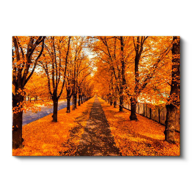 Yatay Kanvas Tablo Dökülen Yapraklar ve Park Yolu Manzara Tablosu Ev Ofis Duvar Dekoru