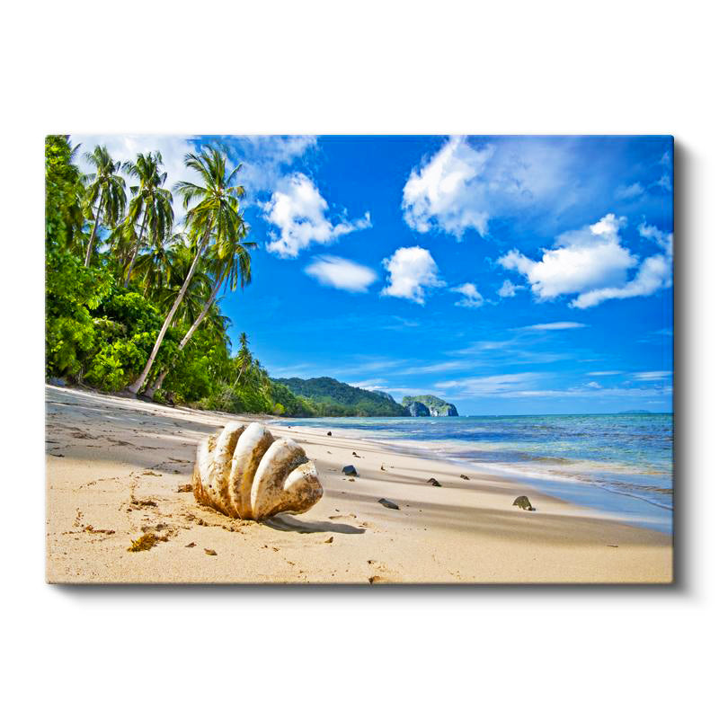 Yatay Kanvas Tablo Kumsalda Büyük Deniz Kabuğu Manzara Tablosu Ev Ofis Duvar Dekoru