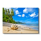 Yatay Kanvas Tablo Kumsalda Büyük Deniz Kabuğu Manzara Tablosu Ev Ofis Duvar Dekoru