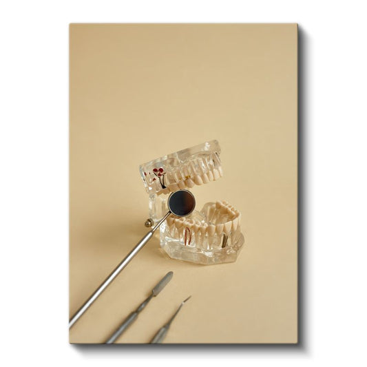 Ortodontist - Diş Modeli ve Teşhis Aletleri Kanvas Tablo