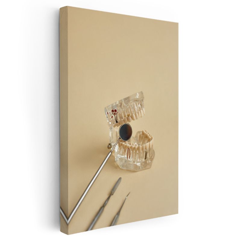 Ortodontist - Diş Modeli ve Teşhis Aletleri Kanvas Tablo