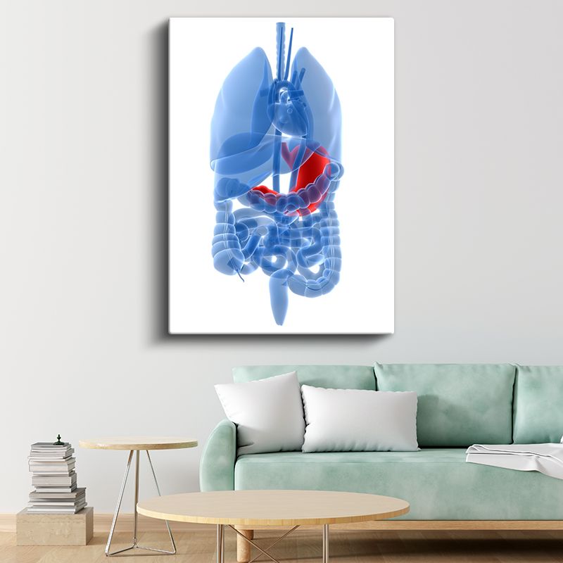 Doktor - İnsan Anatomisi ve Organlar Kanvas Tablo