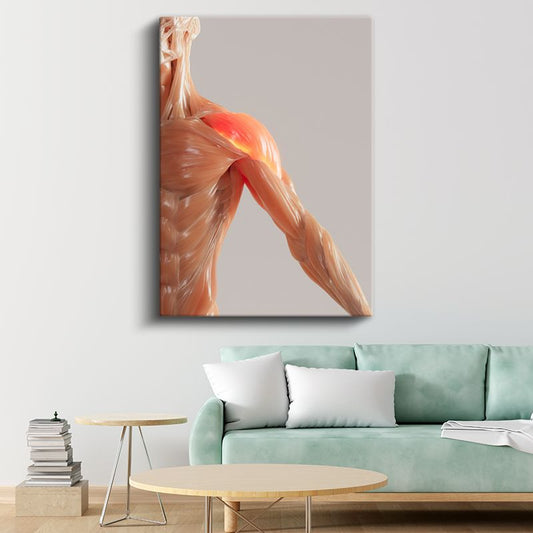 Fizyoterapist - Kas Anatomisi ve Tedavi Kanvas Tablo