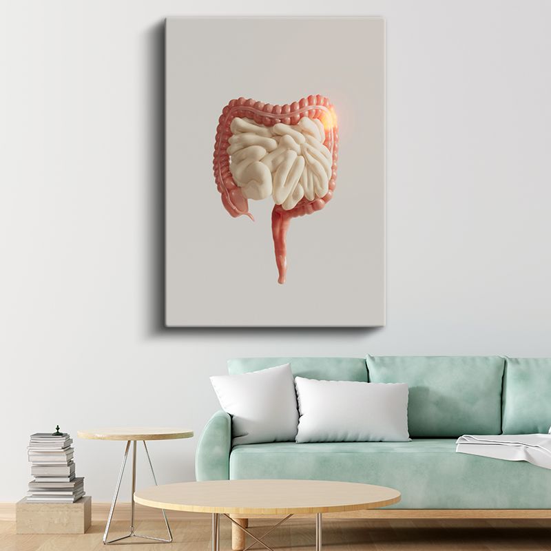 Gastroenterolog - Sindirim Sistemi Anatomisi Kanvas Tablo