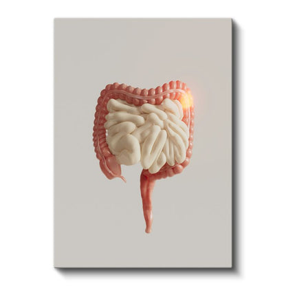 Gastroenterolog - Sindirim Sistemi Anatomisi Kanvas Tablo