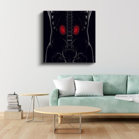 Nefrolog - Böbrek Anatomisi ve Fonksiyonu Kanvas Tablo