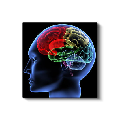 Beyin Cerrahı - Zihin Haritası Kanvas Tablo