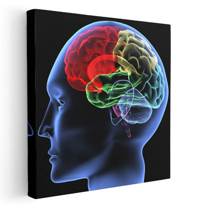 Beyin Cerrahı - Zihin Haritası Kanvas Tablo
