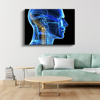 Nöroloji Uzmanı - Sinir Sistemi Anatomisi Kanvas Tablo